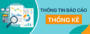 Thông tin báo cáo thống kê