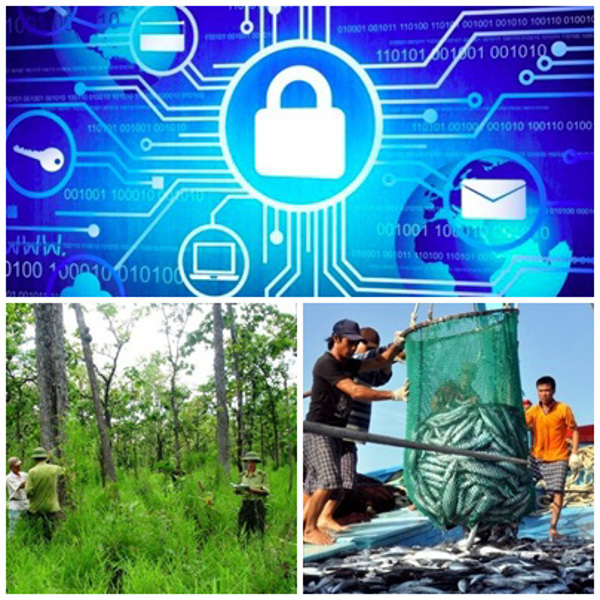 10 Luật có hiệu lực thi hành từ ngày 01/01/2019